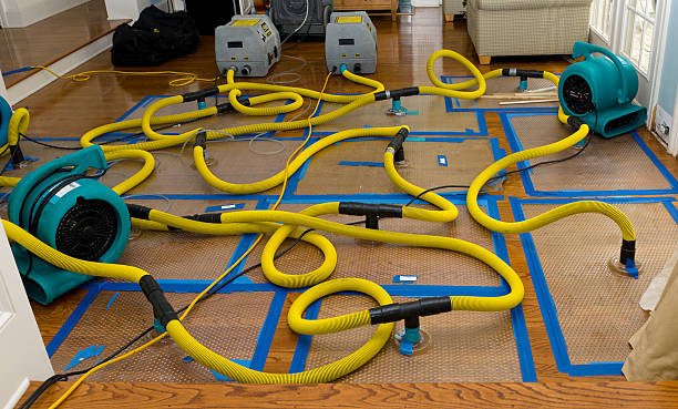 Professional Basement Flood Cleanup technician working in Castalian Springs, TN